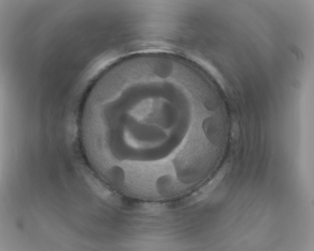 X0000111021407200907022148