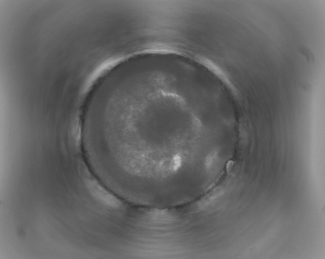 X0000111021408200907022148