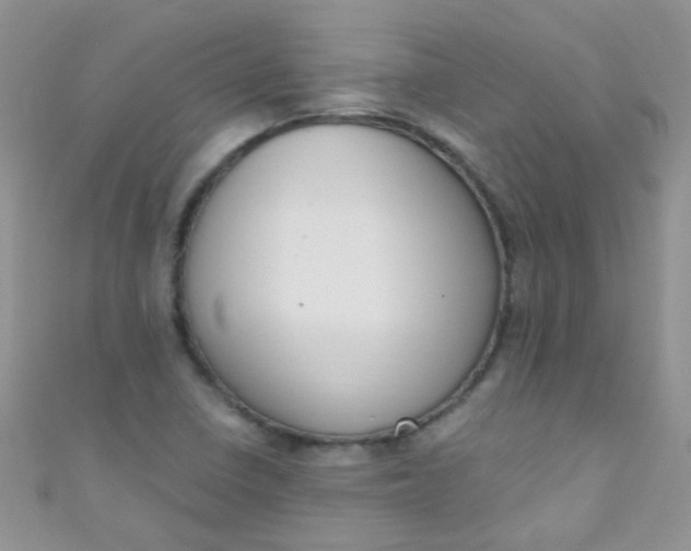 X0000111021410200907022149