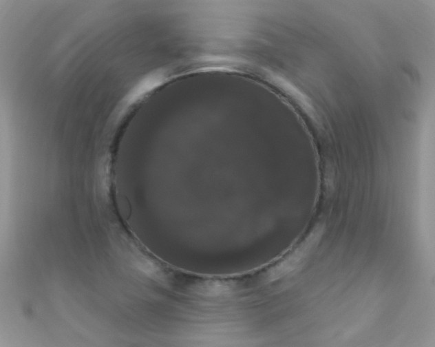 X0000111021411200907022149
