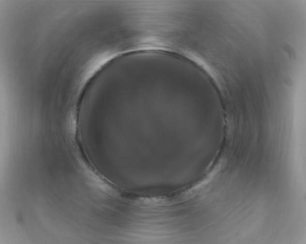 X0000111021415200907022149