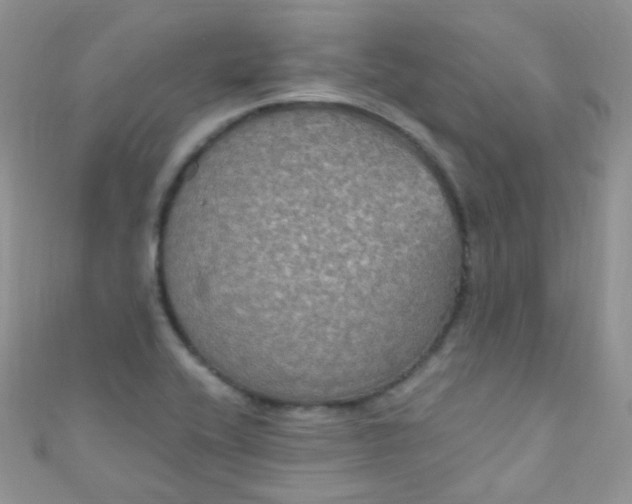 X0000111021416200907022149