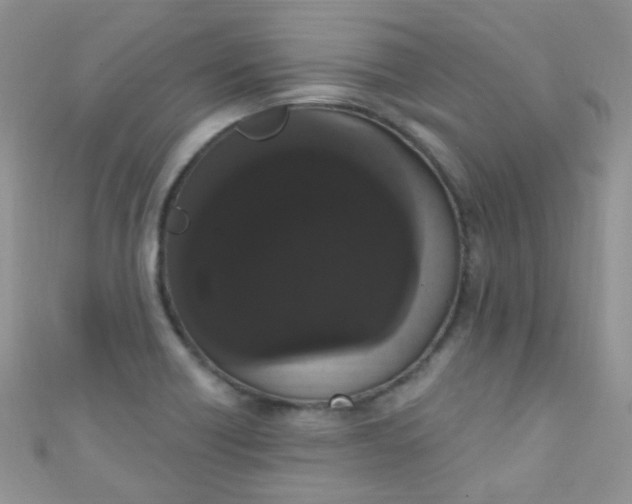 X0000111021418200907022149