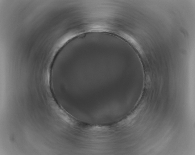X0000111021419200907022149