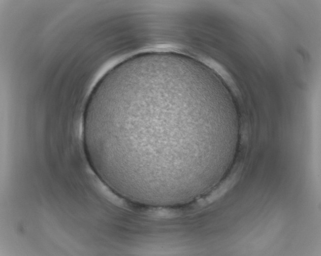 X0000111021420200907022149