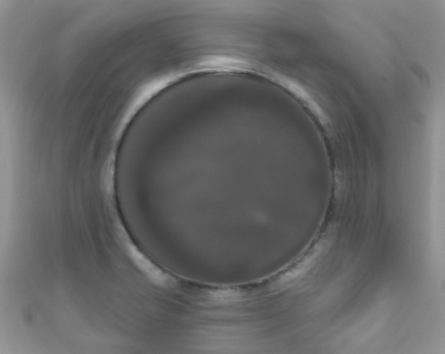 X0000111021421200907022149
