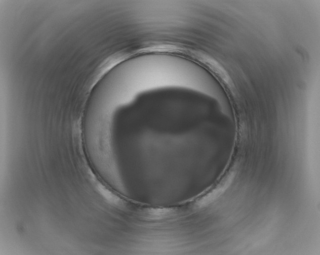 X0000111021425200907022149