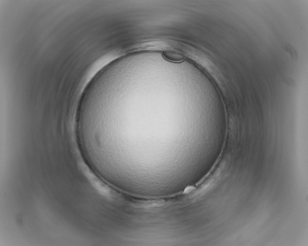X0000111021426200907022149