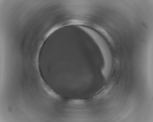 X0000111021427200907022149