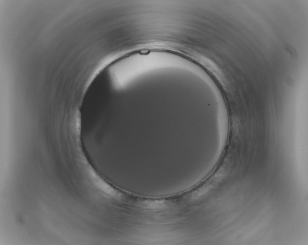 X0000111021428200907022149