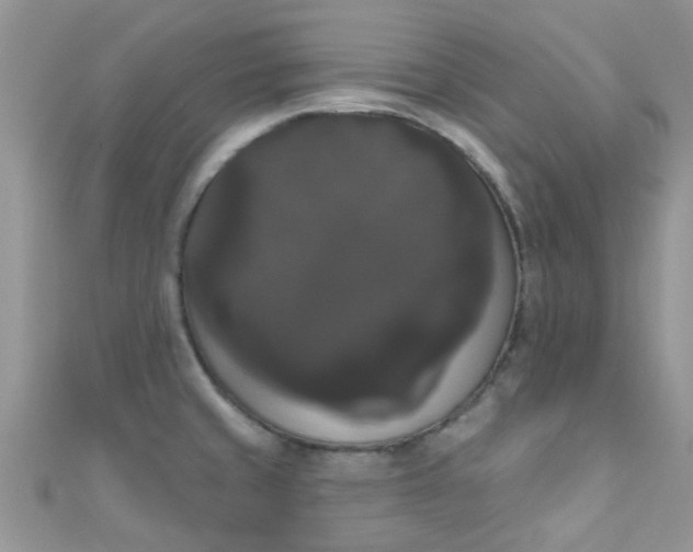 X0000111021429200907022149