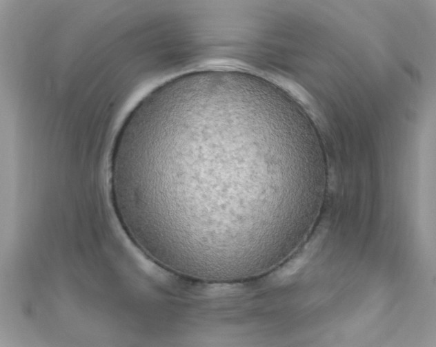 X0000111021430200907022149