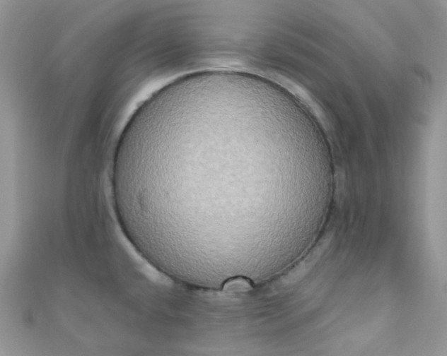 X0000111021432200907022149
