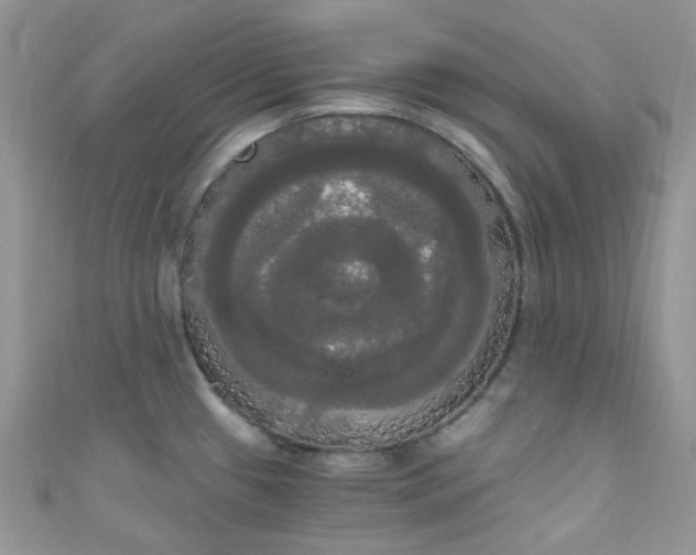 X0000111021433200907022149