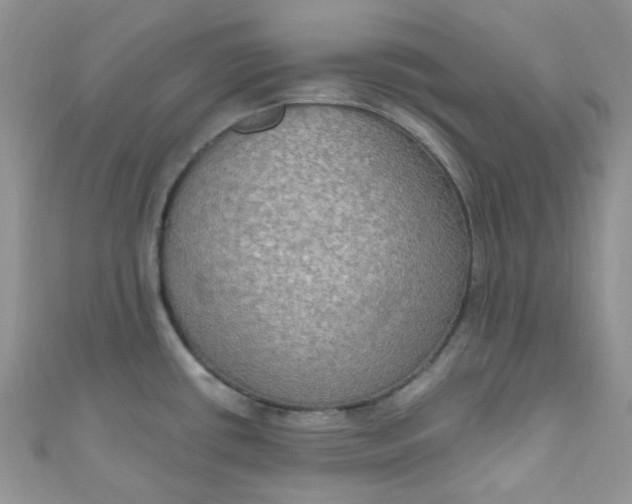 X0000111021434200907022149