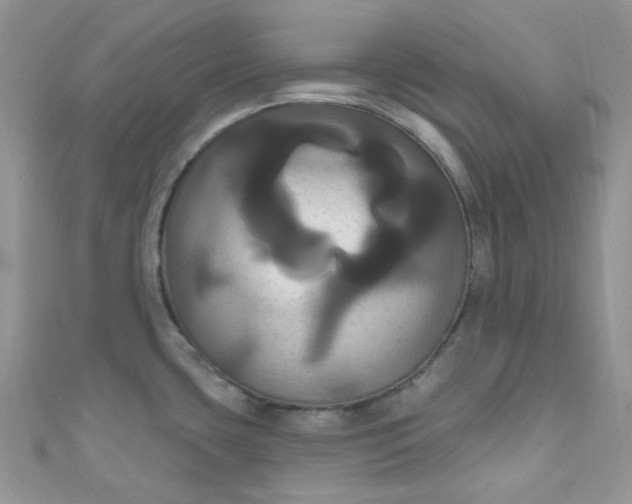 X0000111021435200907022149