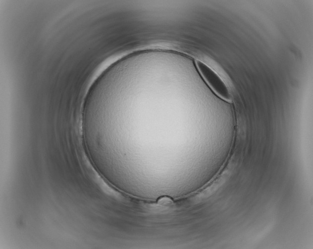 X0000111021436200907022149