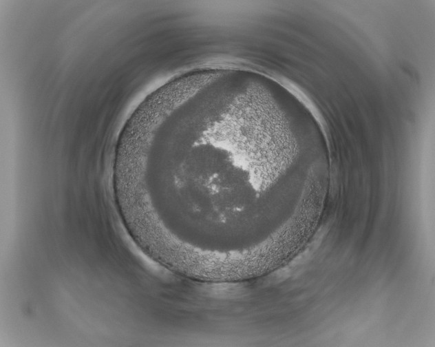 X0000111021437200907022149