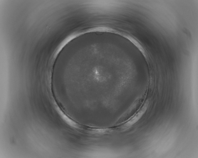 X0000111021438200907022149