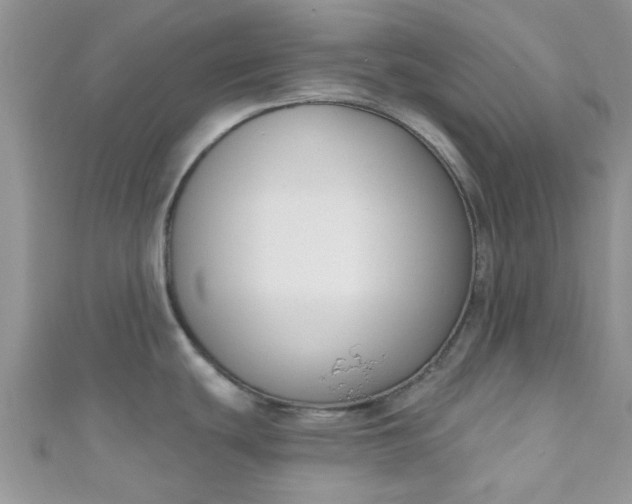 X0000111021439200907022149