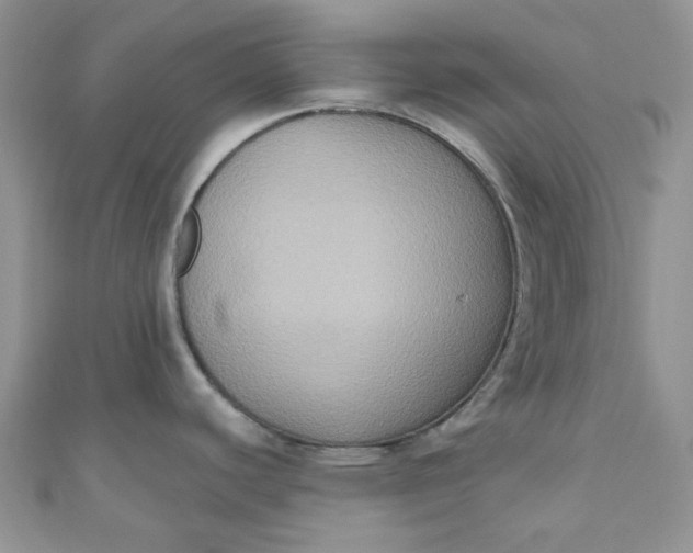 X0000111021440200907022149