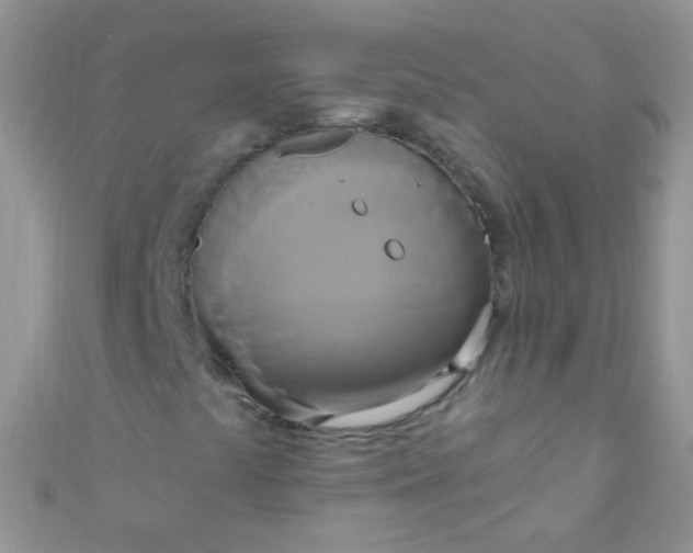 X0000111021441200907022148