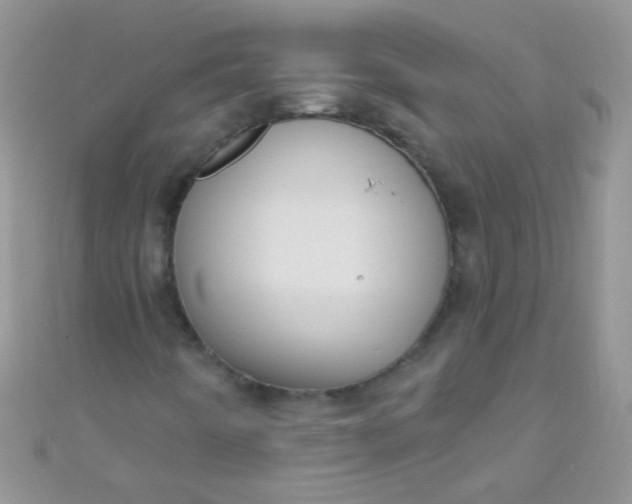X0000111021442200907022148