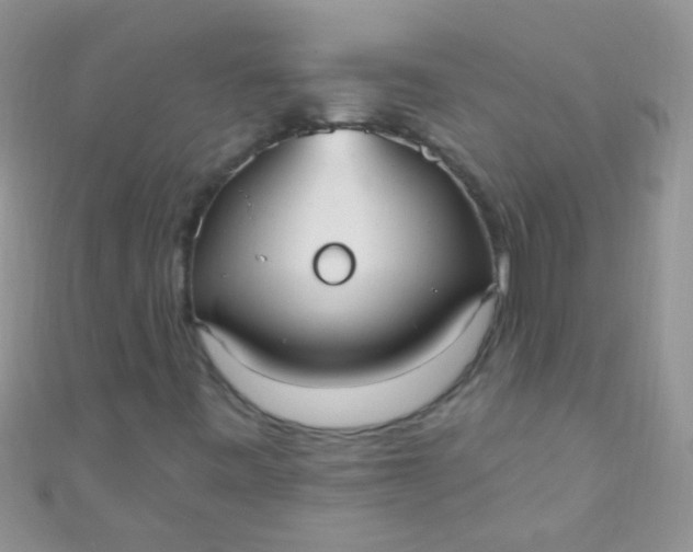 X0000111021443200907022148