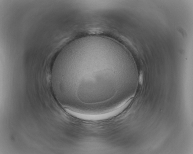 X0000111021444200907022148