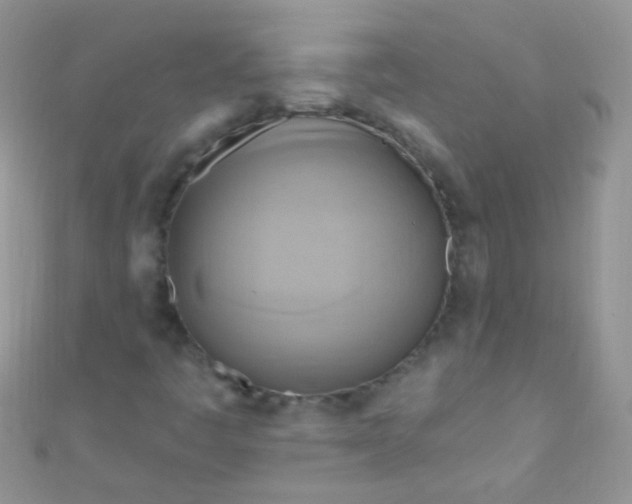 X0000111021445200907022148