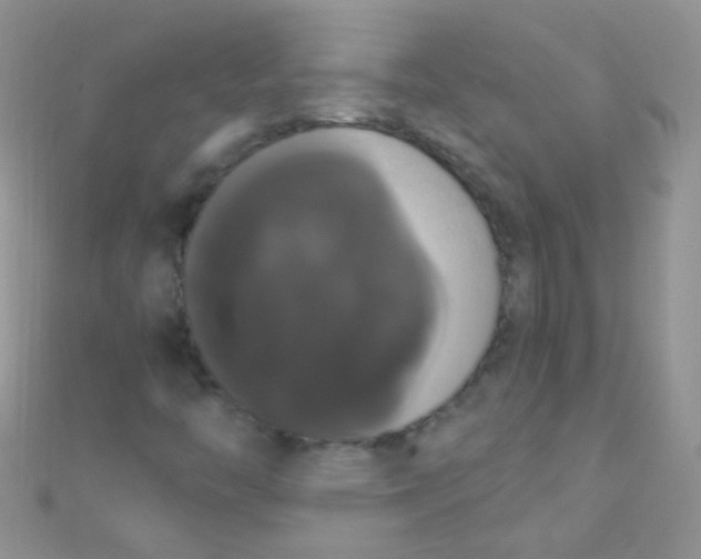 X0000111021446200907022148