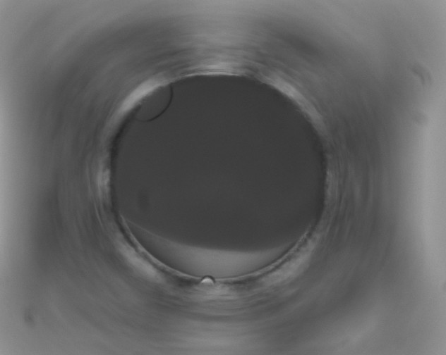 X0000111021450200907022148