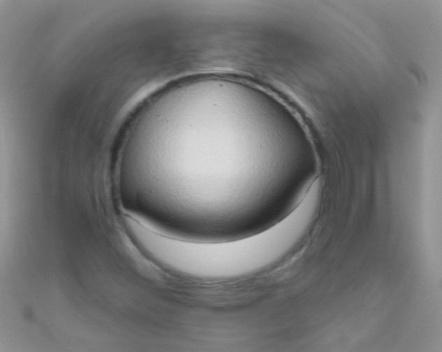 X0000111021452200907022148