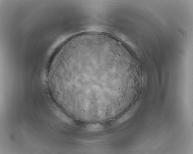 X0000111021454200907022148