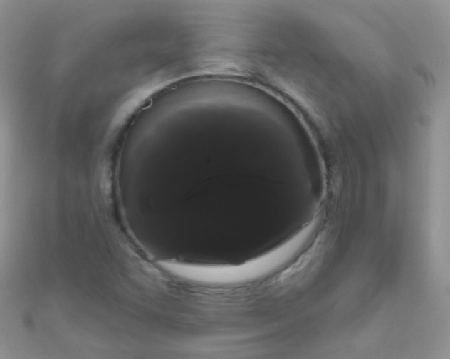 X0000111021455200907022148