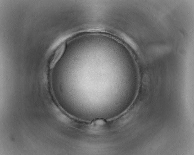 X0000111021456200907022148