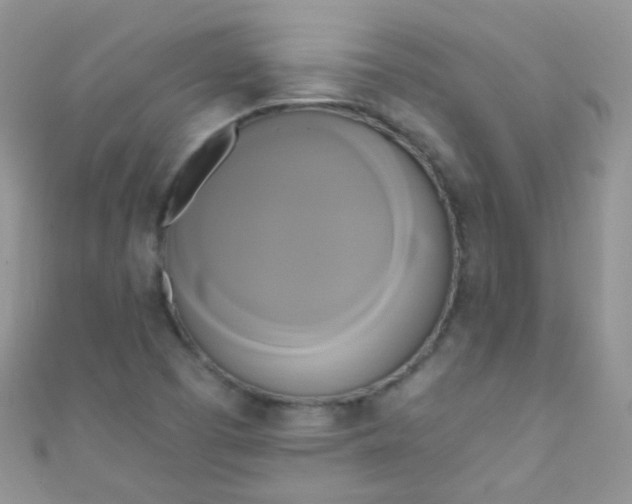 X0000111021457200907022148