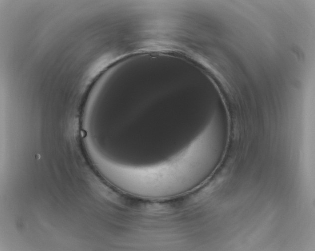 X0000111021459200907022148