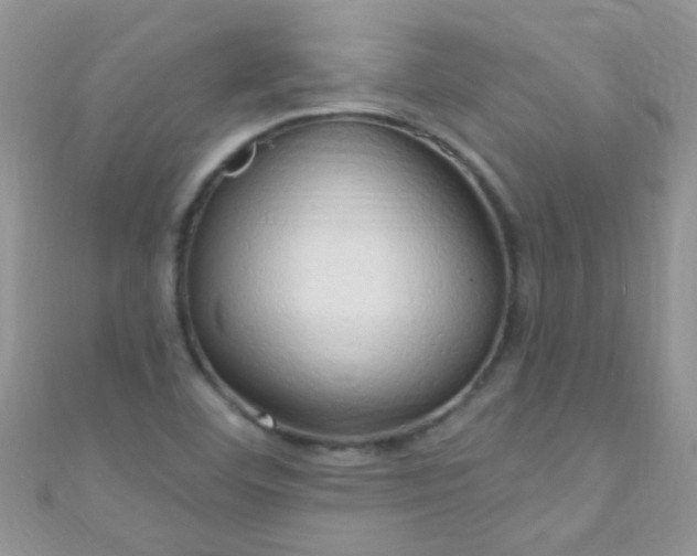 X0000111021460200907022148