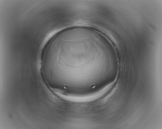 X0000111021461200907022148