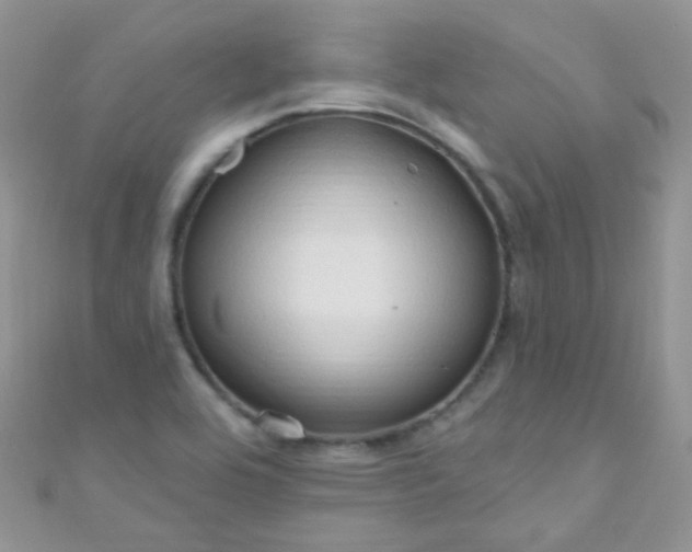 X0000111021464200907022148