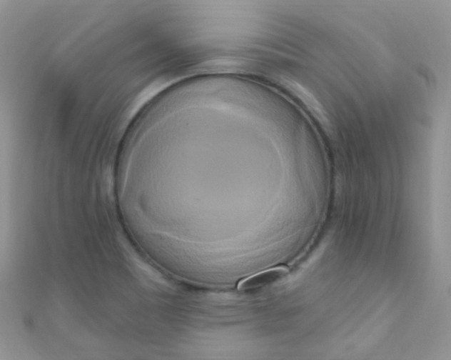 X0000111021465200907022148
