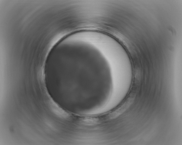X0000111021466200907022148