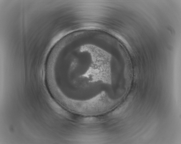 X0000111021467200907022148