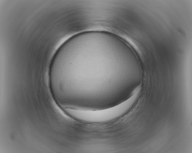 X0000111021468200907022148