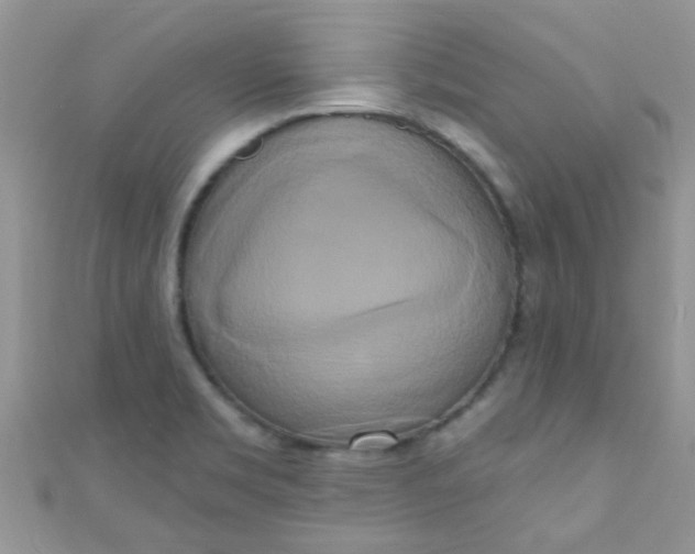 X0000111021469200907022148