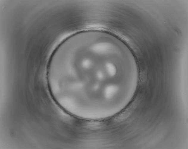X0000111021470200907022148