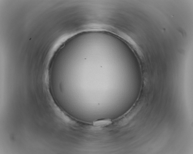 X0000111021472200907022148