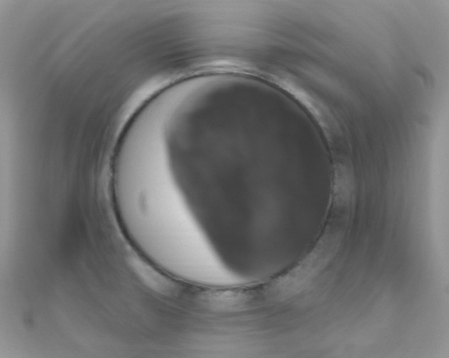 X0000111021474200907022148