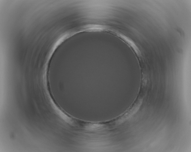 X0000111021475200907022148